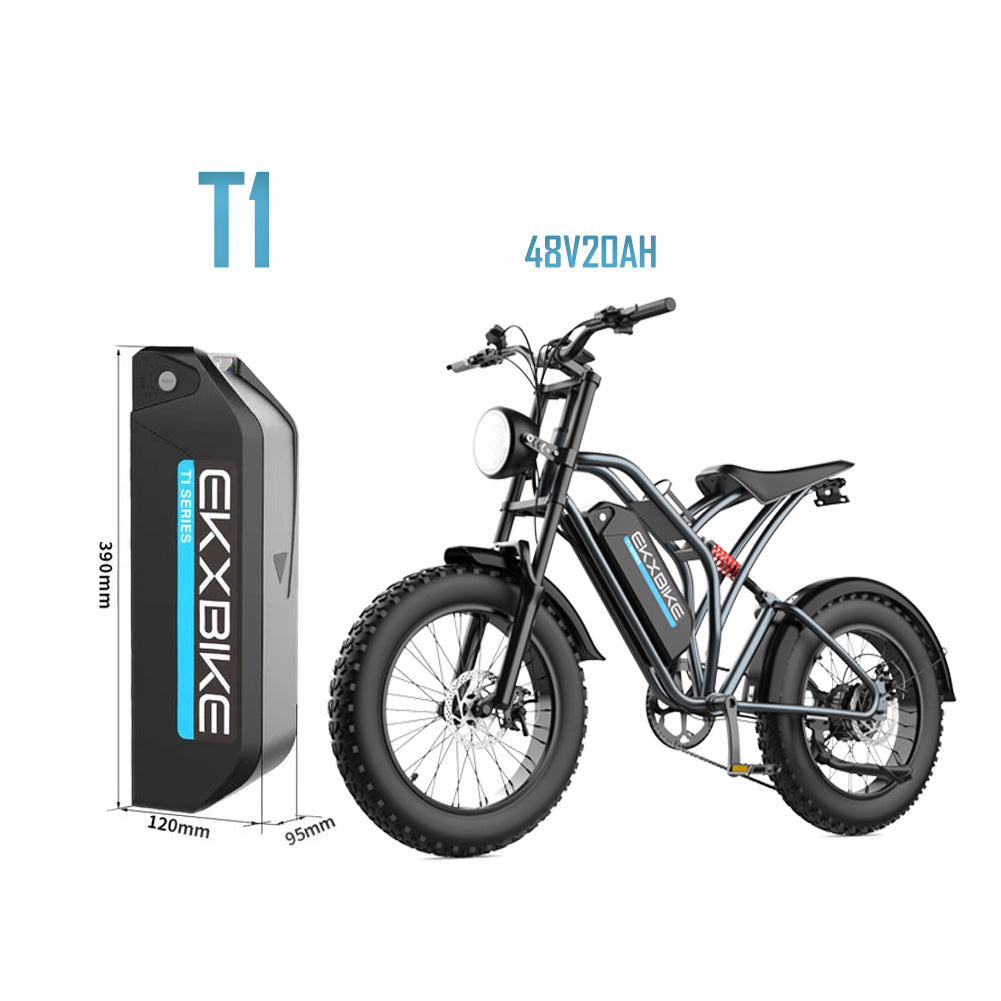 EKXBIKE Battery